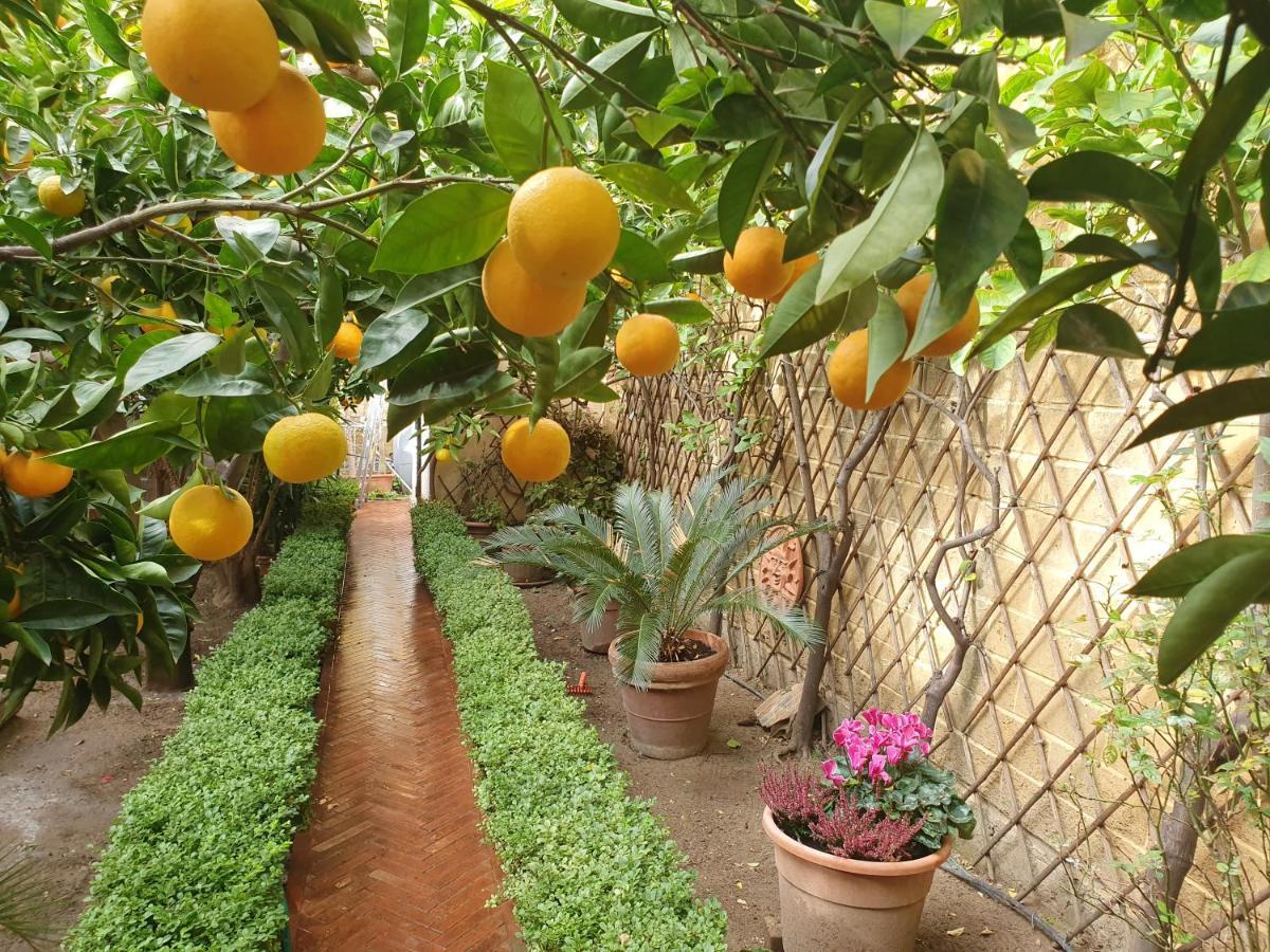 Villa Goethe Agrigento Buitenkant foto